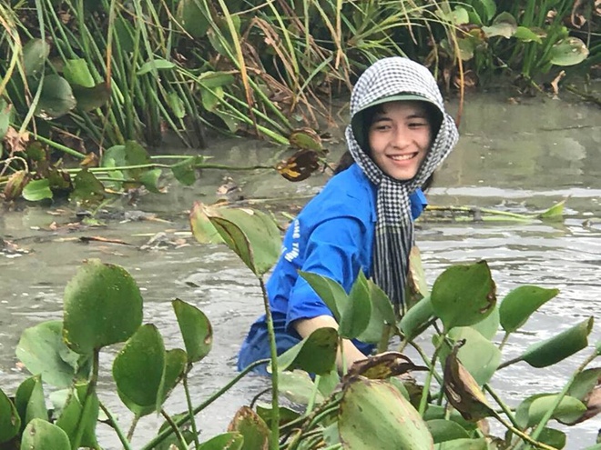 Mơ thấy lội ao vớt bèo - Chiêm bao thấy lội ao vớt bèo đánh con gì?