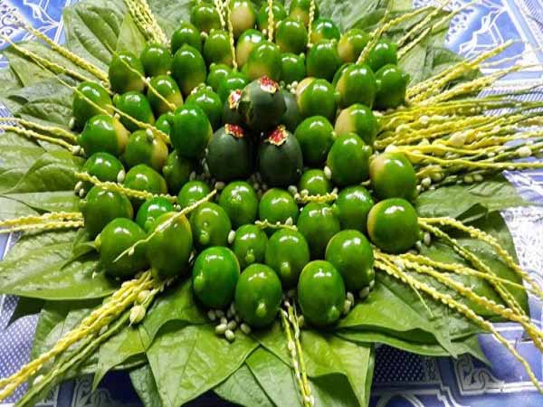 Mơ thấy buồng cau - Điềm báo và ý nghĩa gì?